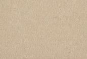 101 beige
