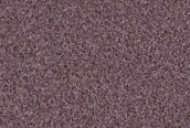 1499 Taupe